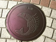 ��ʬ�����������