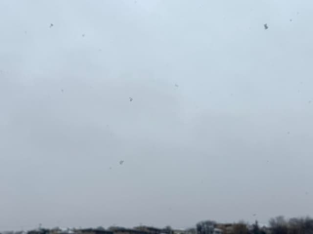 ǧ�ξɤˤʤ��Ω