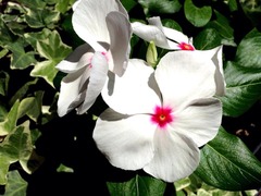 ���ȻפäƤ��뤳�Ȥۤ����դ��ä��ꤹ��