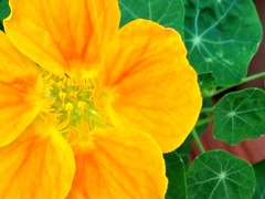 2����ʬ�ò�