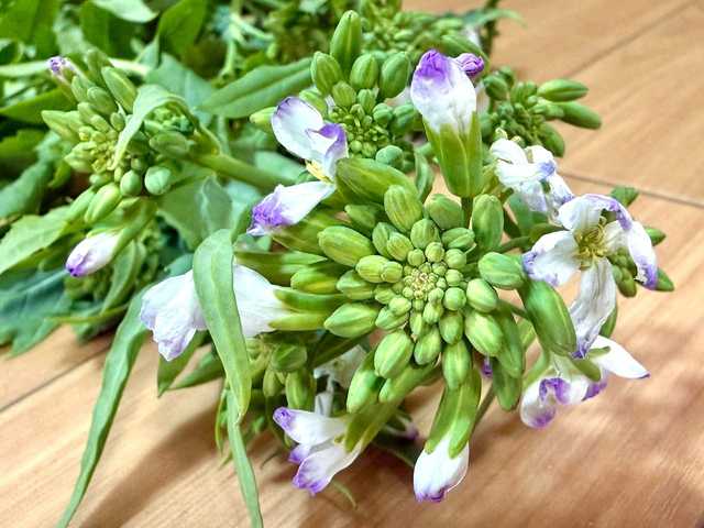���ä��纬�ˤ��֤��餤�Ƥ�