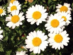 ���ޥۥ������������