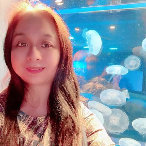 �դ�äȿ�²��