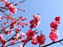 ž������Ȥ�ʥ�ƤϤ����ʤ�