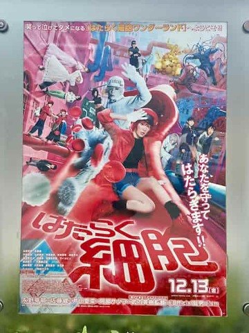 �ǲ�ؤϤ��餯��˦�٤򸫤ޤ���