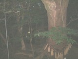 八大龍王水神・入口