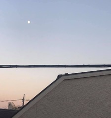 ������ۤ����礷�Ƥ���Ƥ���