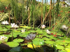 �Х���4����