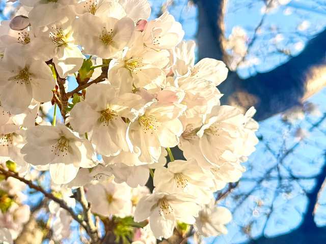 �餤�Ƥ�
