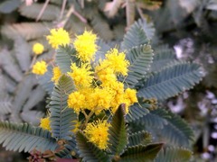 ���ۤΥѡ��ȥʡ��Ƚв񤦤����