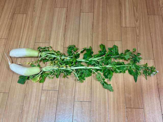 ���ä��纬�ˤ��֤��餤�Ƥ�2