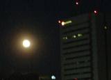 ビルの間から満月