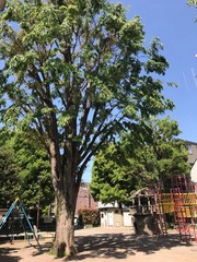 �������ʹ�����