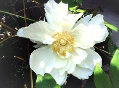 �����å���������