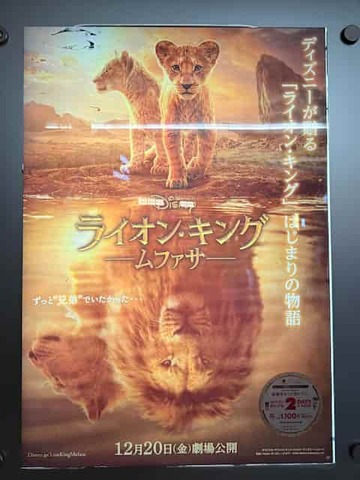 �ǲ�إ饤���󥭥󥰡���ե����٤򸫤ޤ���