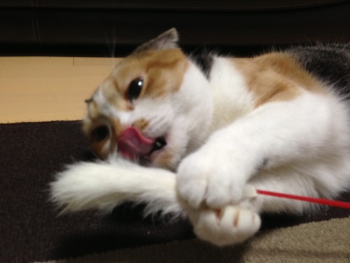 securedownload