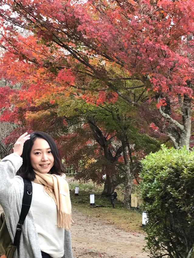 京都紅葉情報2017③ ～大覚寺の大沢池と、壮大な広沢の池～ : 七海薫子 