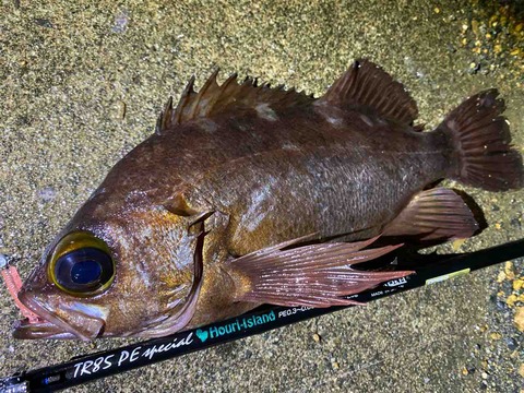 FullSizeRender