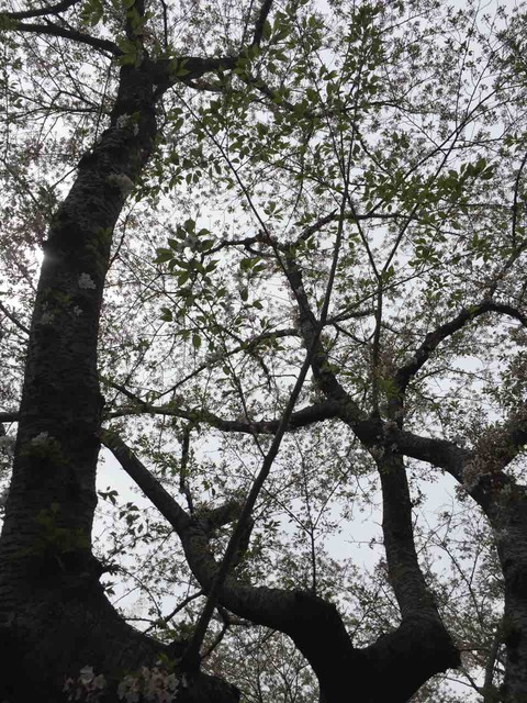 EFC30883-C345-4ED0-92FD-468AEC3471EC