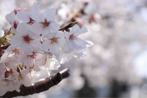 7B988F00-726A-4742-B092-28667CA19D9E