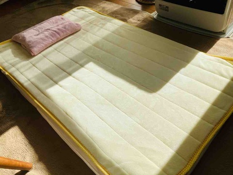 FullSizeRender