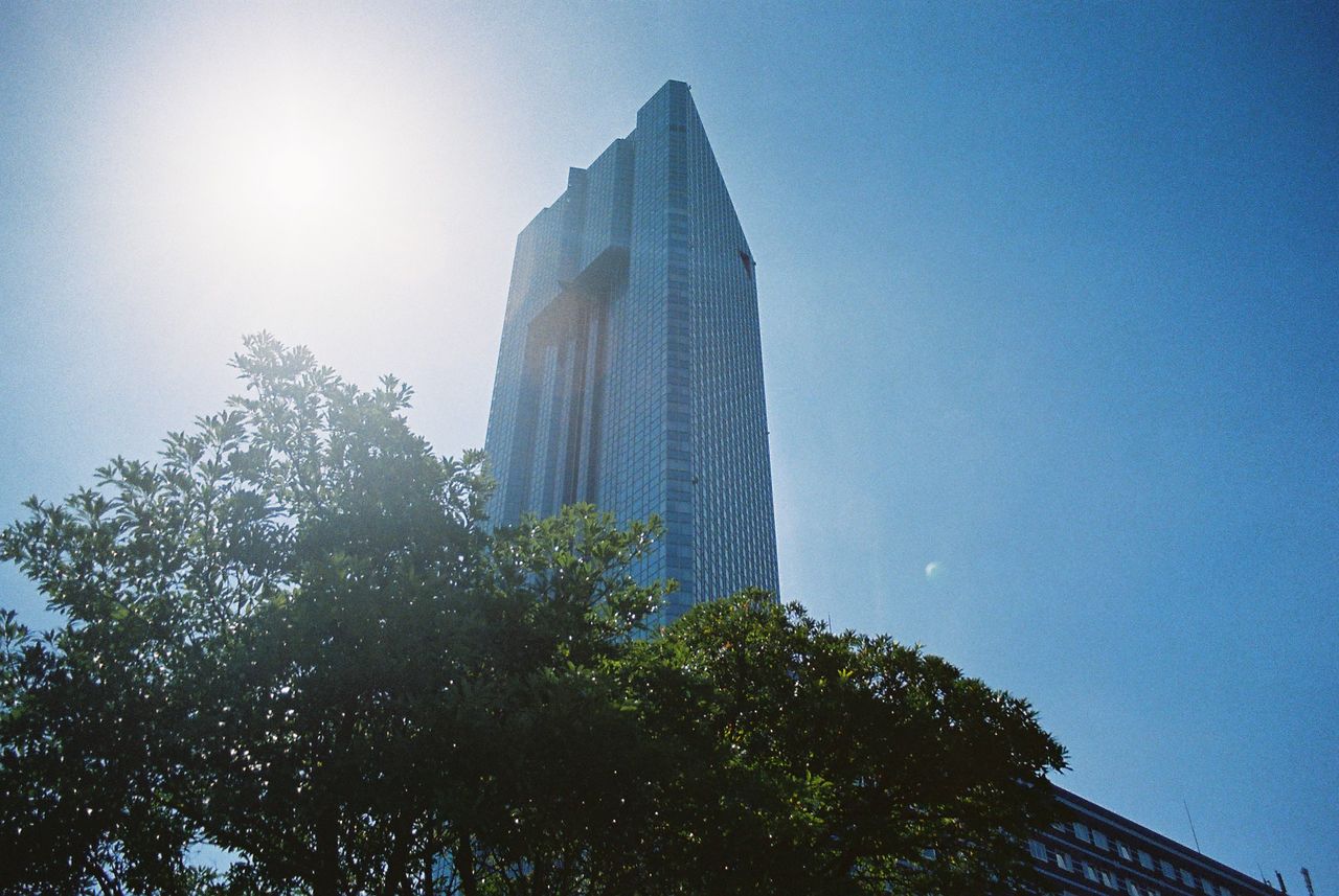 古いフィルムカメラの写真を現像してもらった ドールと僕 古いフィルムカメラの写真を現像してもらった ドールと僕