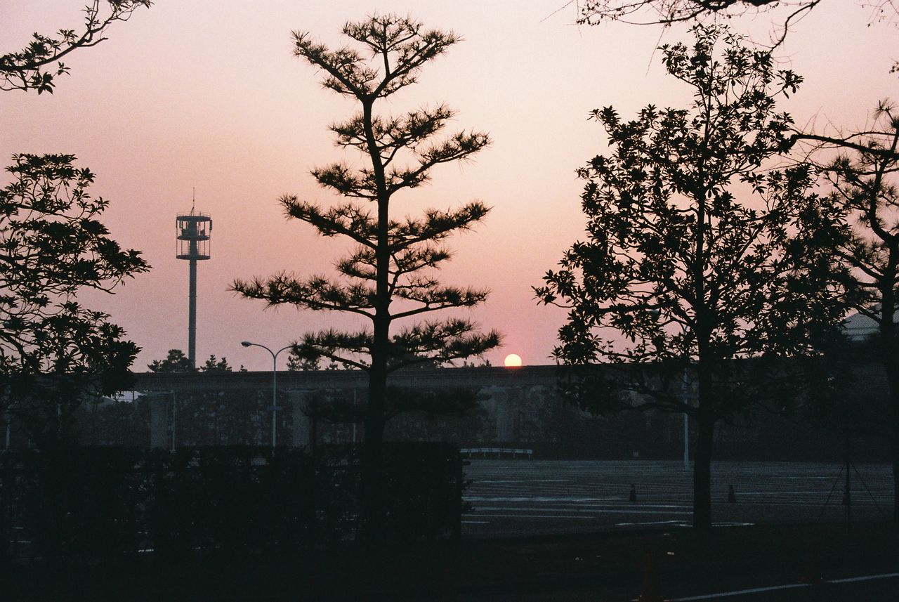 古いフィルムカメラの写真を現像してもらった ドールと僕 古いフィルムカメラの写真を現像してもらった ドールと僕