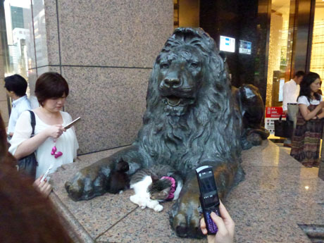 ライオン像で眠る猫 ナナシ的エンタメすたいるｎｅｔプラス
