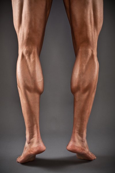 depositphotos_14249723-stock-photo-muscular-male-legs