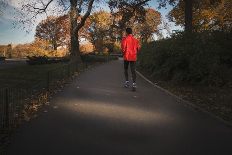 arek-adeoye-gGZ8ZynljWk-unsplash