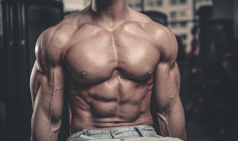 large-chest-muscle