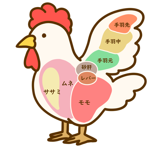 肉の部位 鳥さん-1024x1024