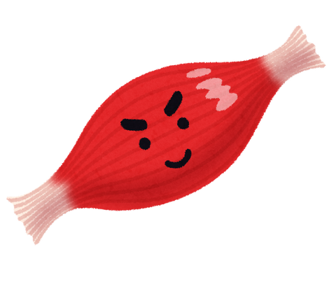 kinniku_character-1