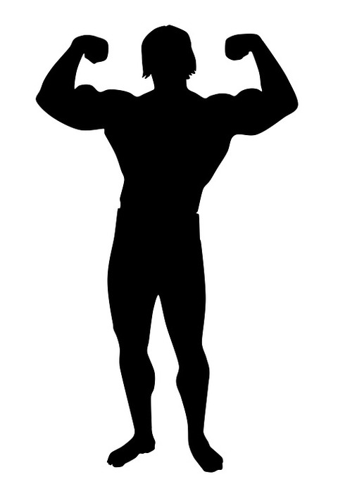 muscle-1660249_960_720