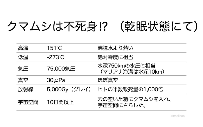 画像 不死生物クマムシ とんでもねえ化け物だった 皆と見る2ch速報 W