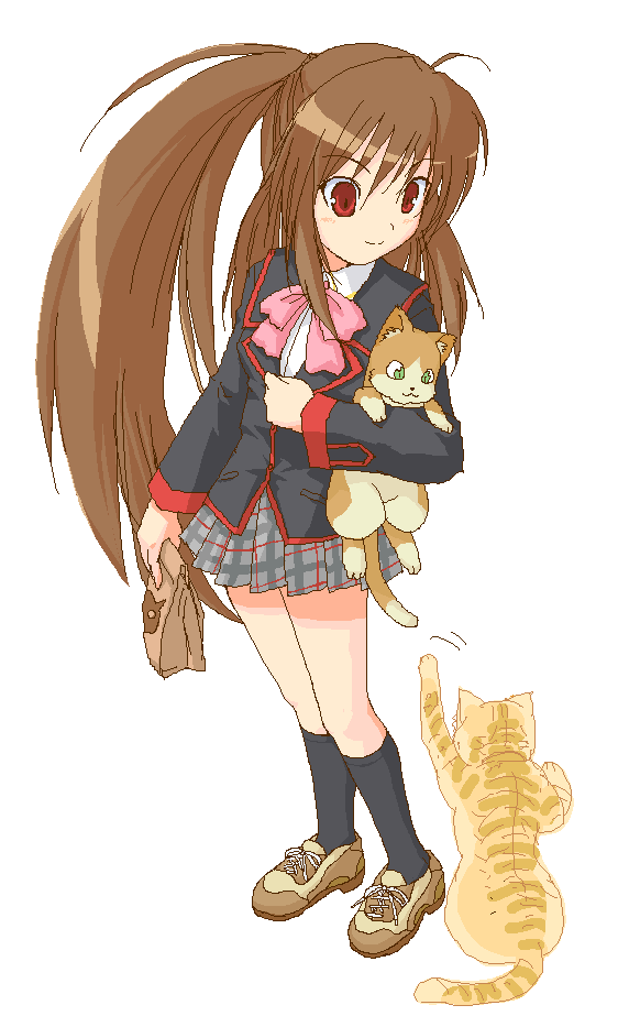 猫と鈴