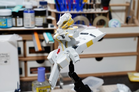 hizenthleyii-build4 (9)