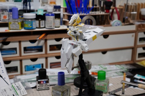hizenthleyii-build4 (26)