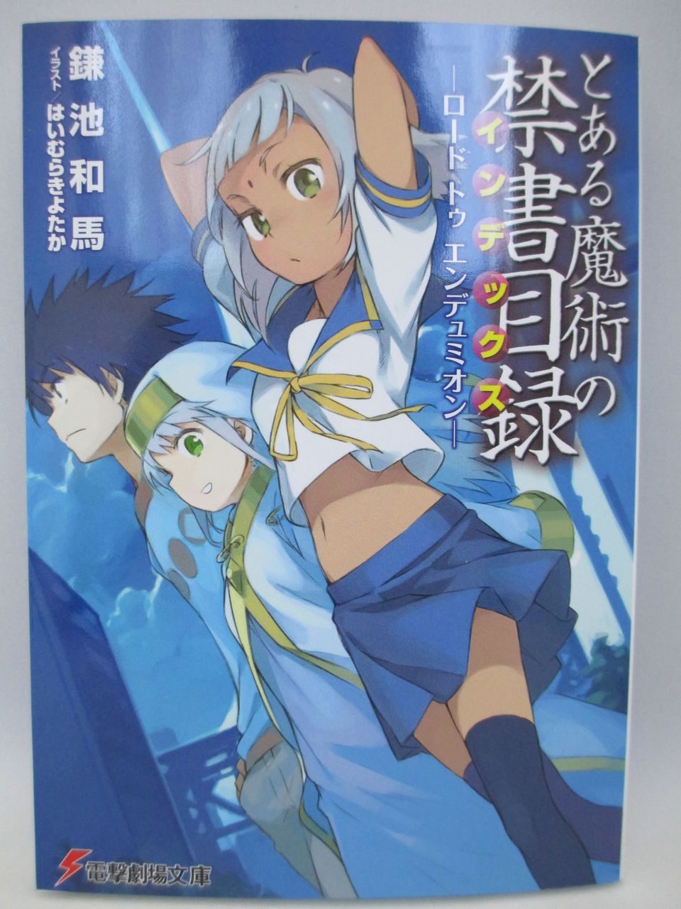 とある魔術の禁書目録 エンデュミオンの奇蹟 さがし猫 とある魔術の禁書目録 エンデュミオンの奇蹟 さがし猫