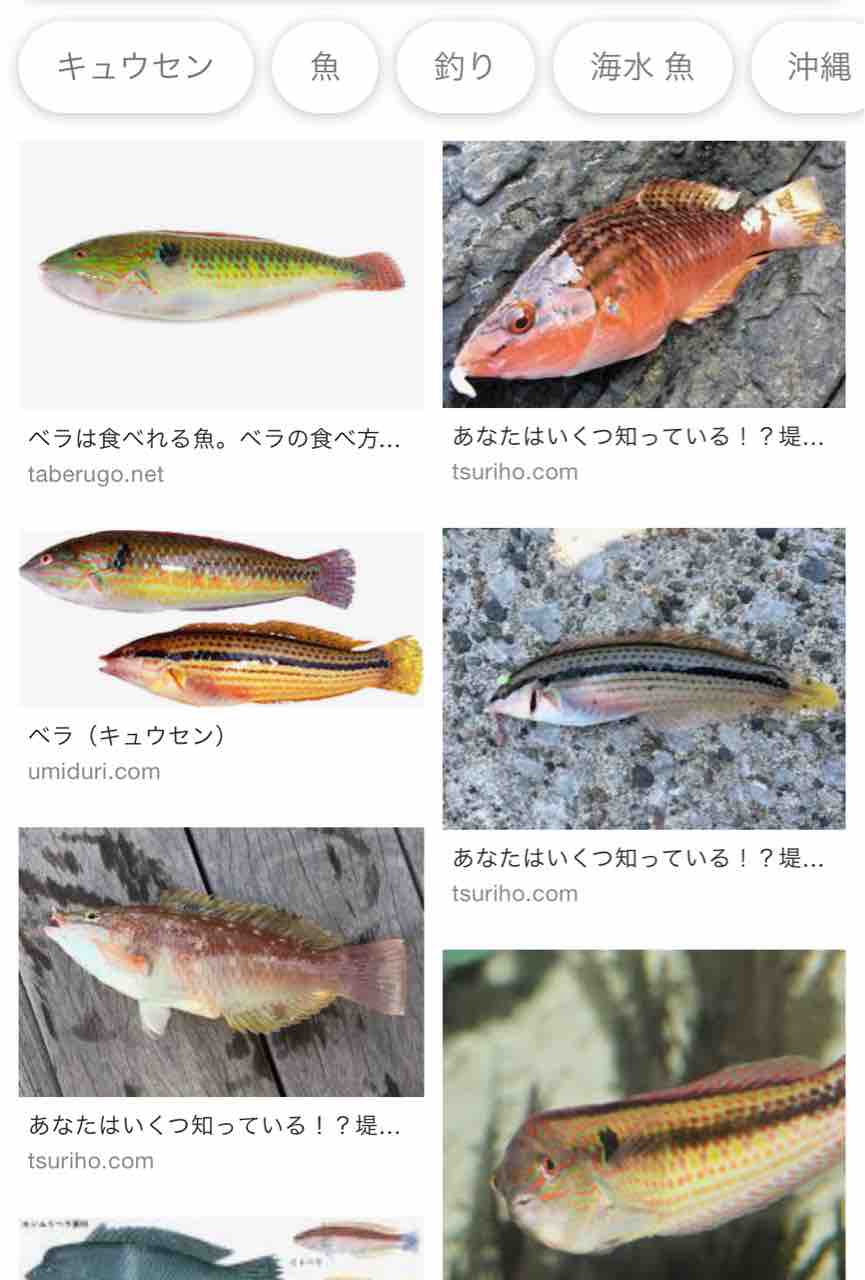 釣りの原体験 ななやんの釣り記録
