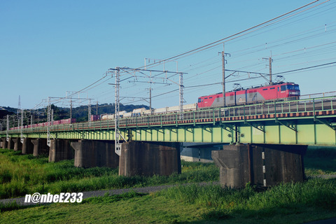 20260710-DSC_1711