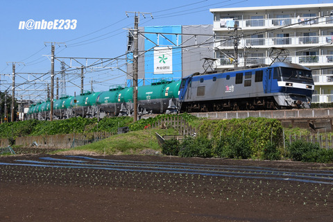 20260924-DSC_3584