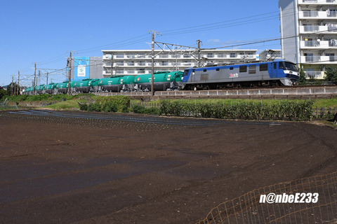 20260924-DSC_3609