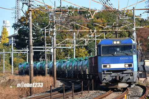 20201121-DSC_1683
