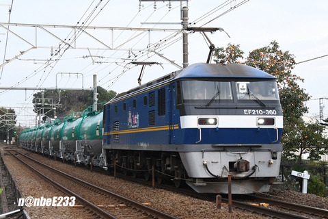 20261020-DSC_3861