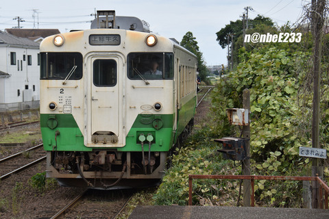 20261003-DSC_0181