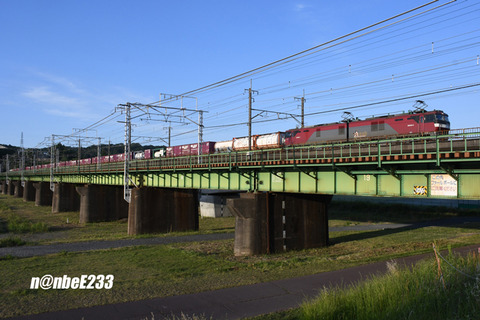 20260513-DSC_0055