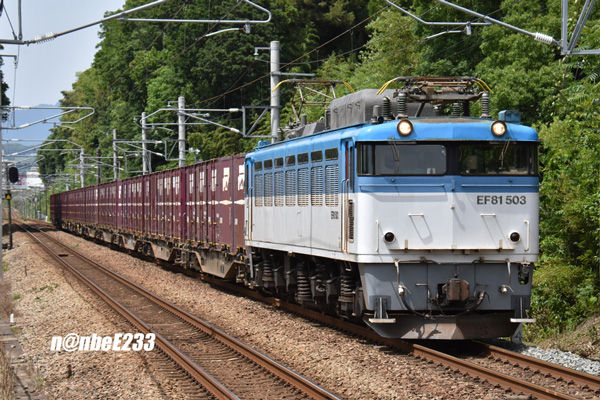 イメージ 7