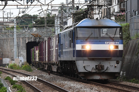 20260724-DSC_1959