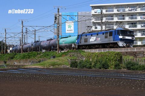 20260924-DSC_3655
